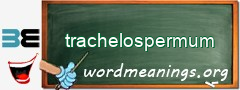 WordMeaning blackboard for trachelospermum